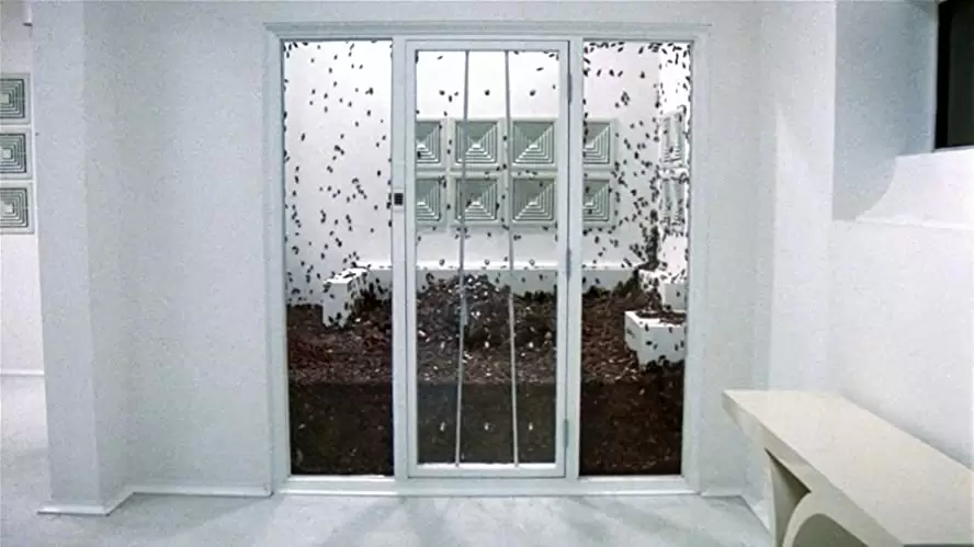 クリープショーの画像