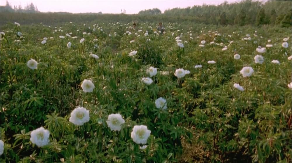 花好月円の画像