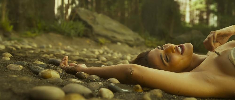 Shamshera（原題）の画像