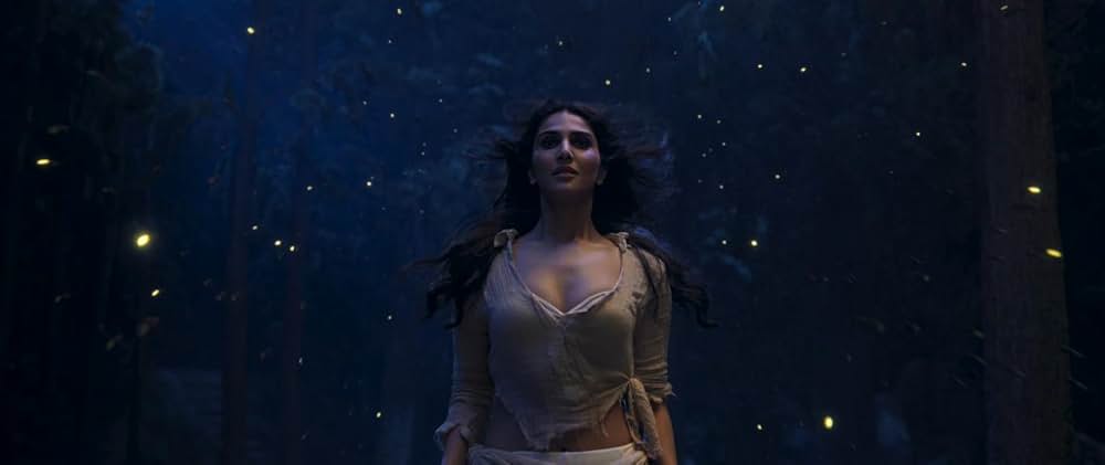 Shamshera（原題）の写真