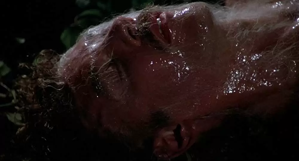 SF／ボディ・スナッチャーの画像