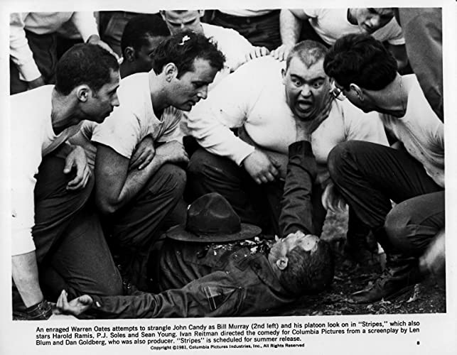 パラダイス・アーミーの画像