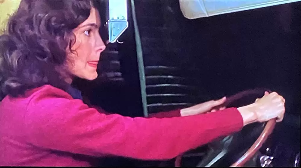 「パラダイス・アーミー」ショーン・ヤングの画像