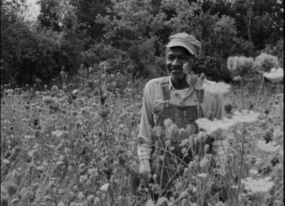 Nothing But a Man（原題）の画像