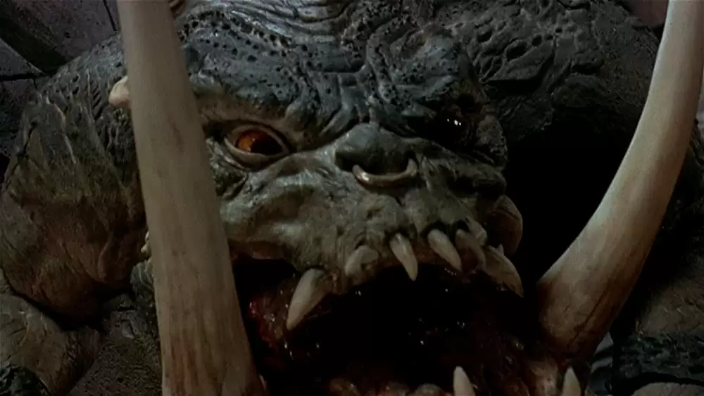 コーンヘッズの画像