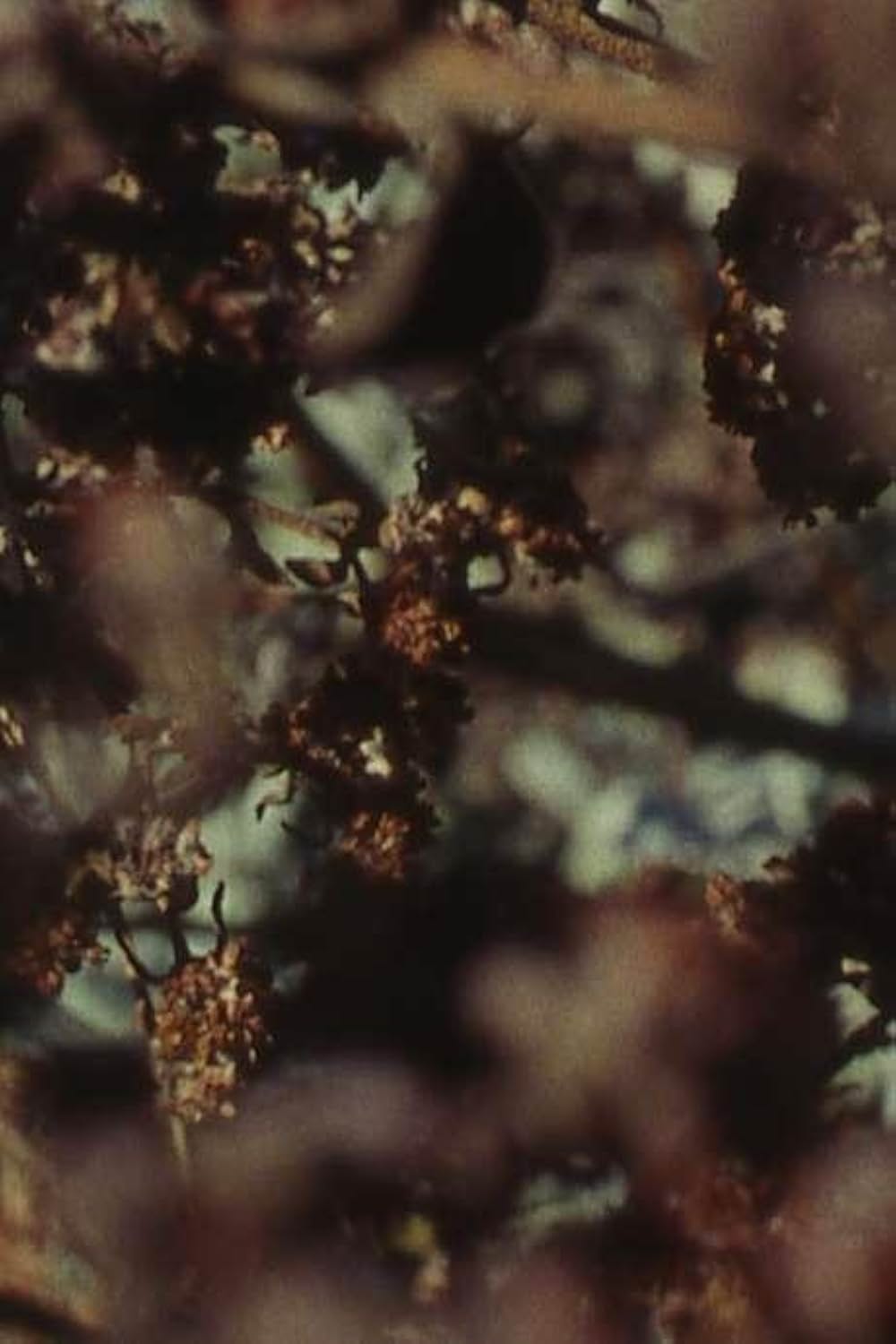 Aubade（原題）の画像