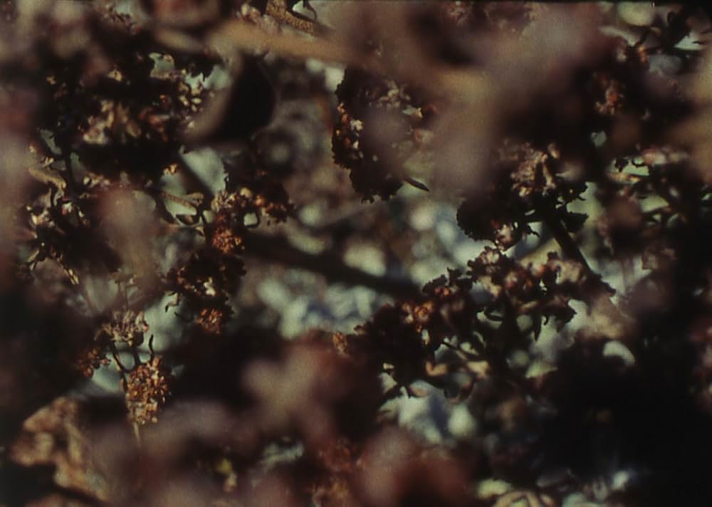 Aubade（原題）の写真