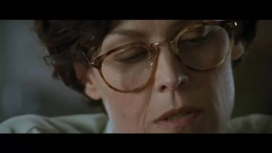 コピーキャットの画像