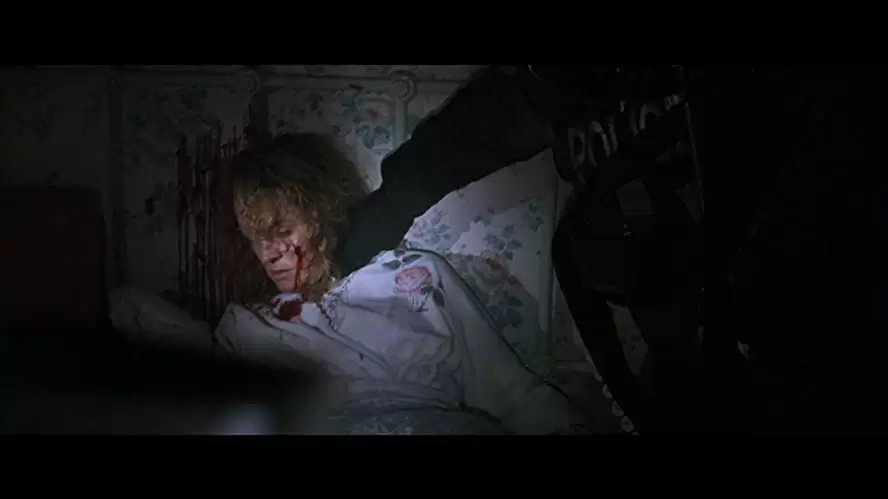 コピーキャットの画像