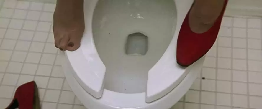 コピーキャットの画像