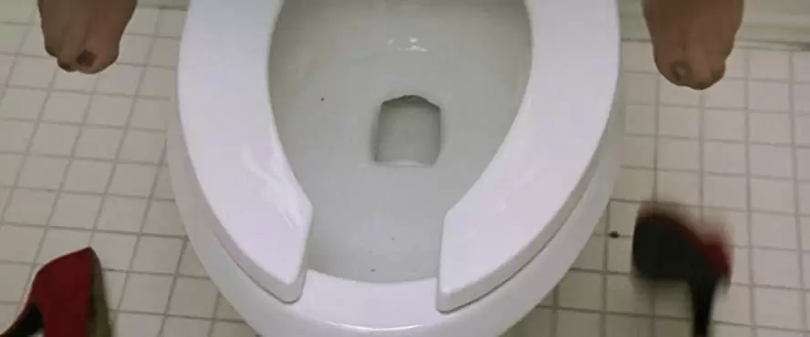 コピーキャットの画像