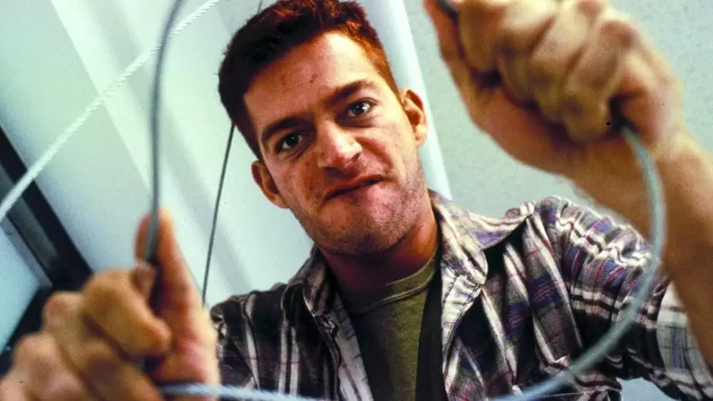 コピーキャットの画像