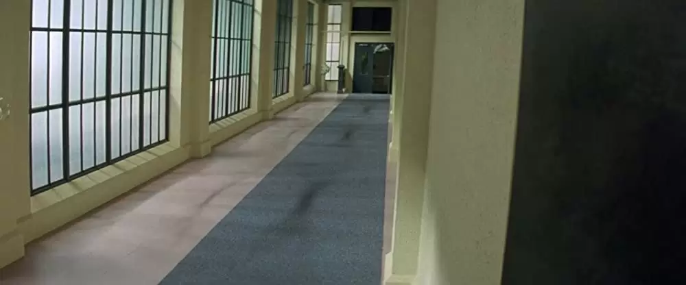 コピーキャットの画像