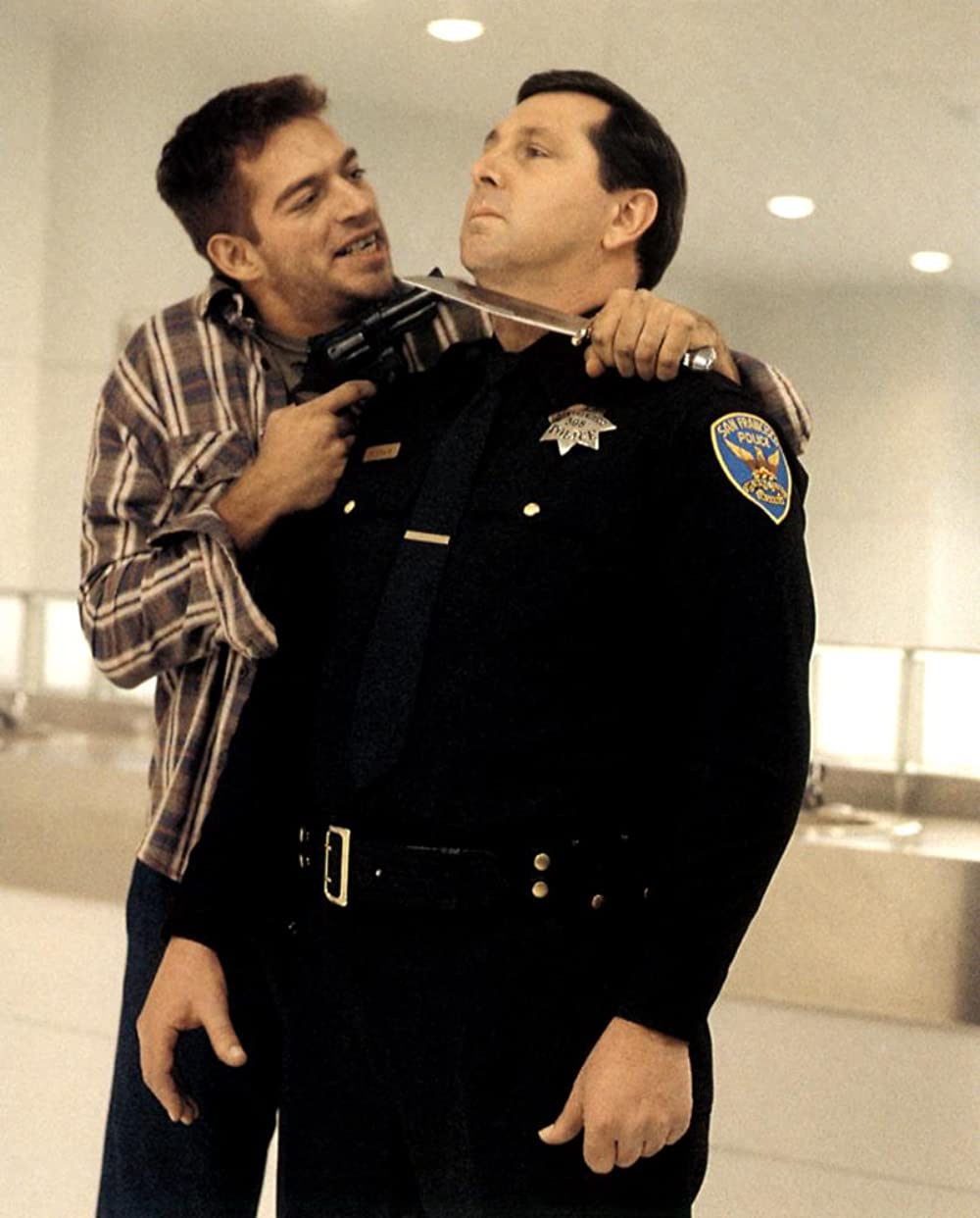 コピーキャットの画像