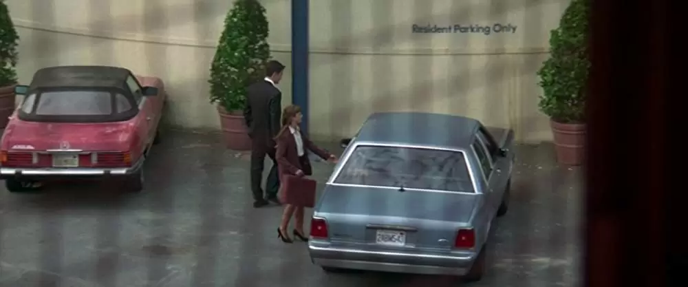 コピーキャットの画像