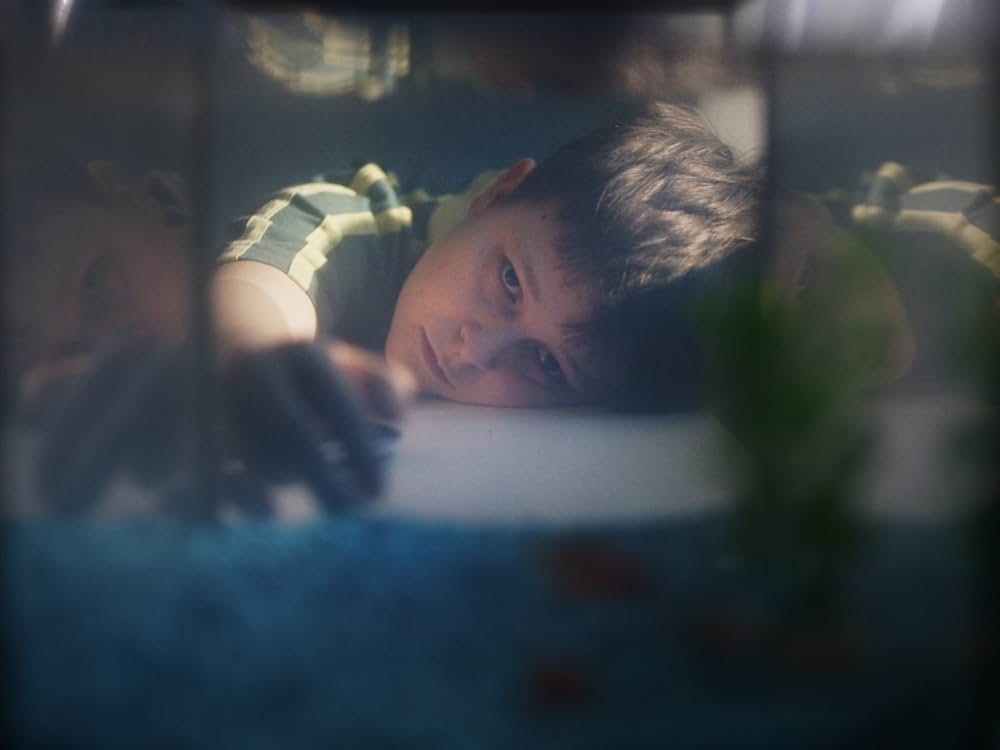 マット先生の一日の画像