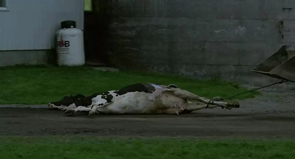 トム・アット・ザ・ファームの画像