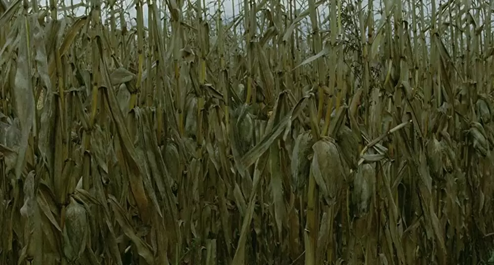 トム・アット・ザ・ファームの画像