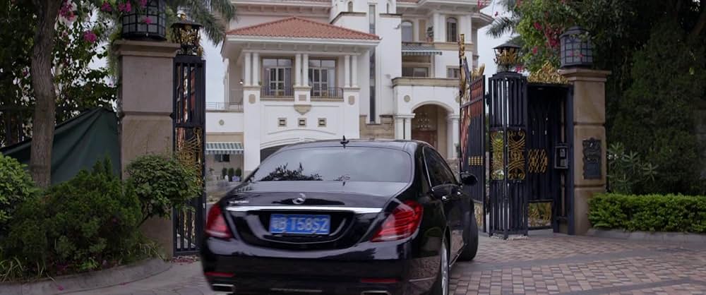 Go Back to China（原題）の画像