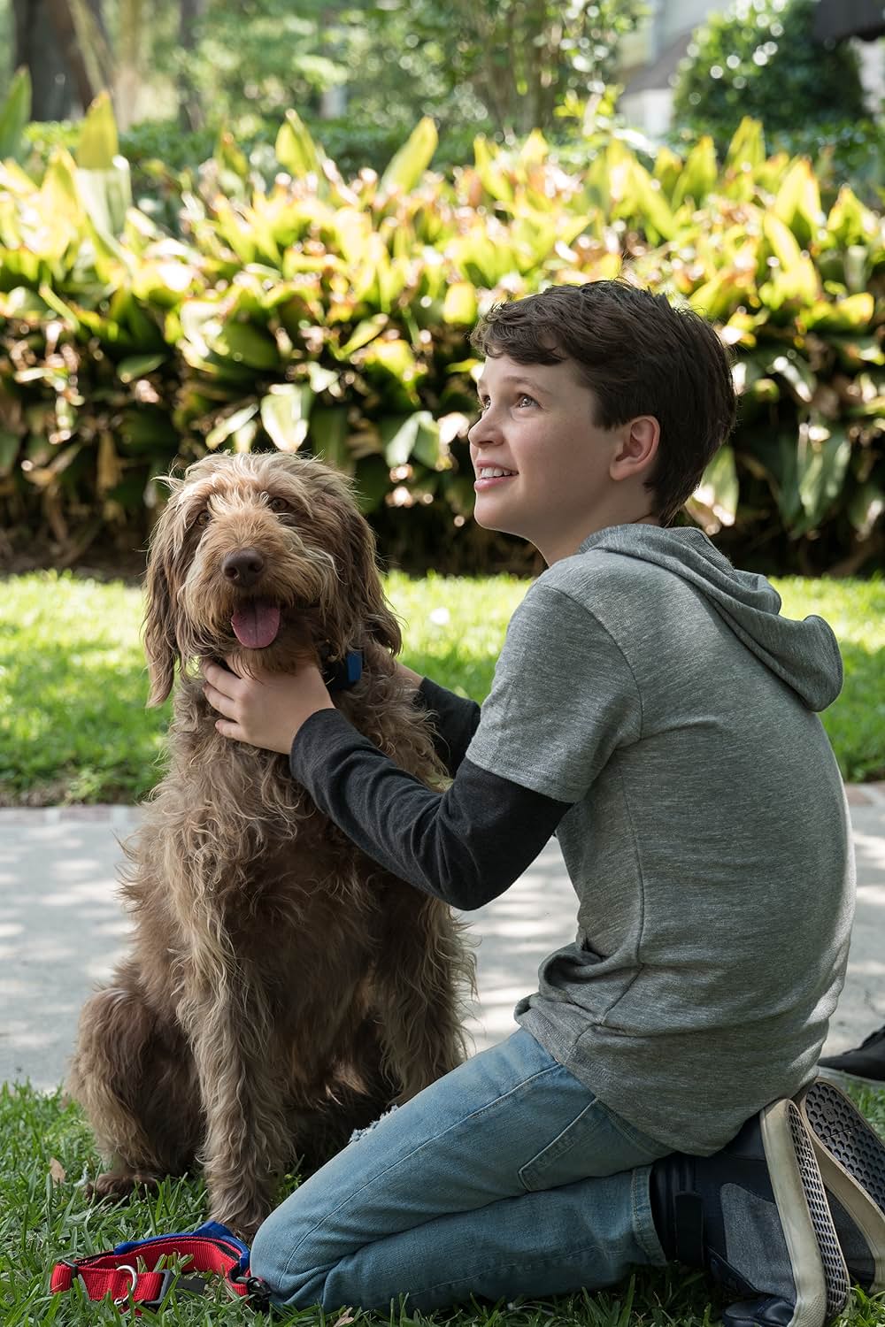 Think Like a Dog（原題）の画像