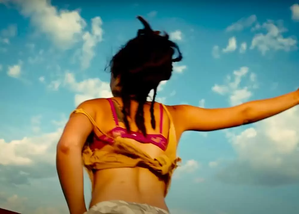 アメリカン･ハニーの画像