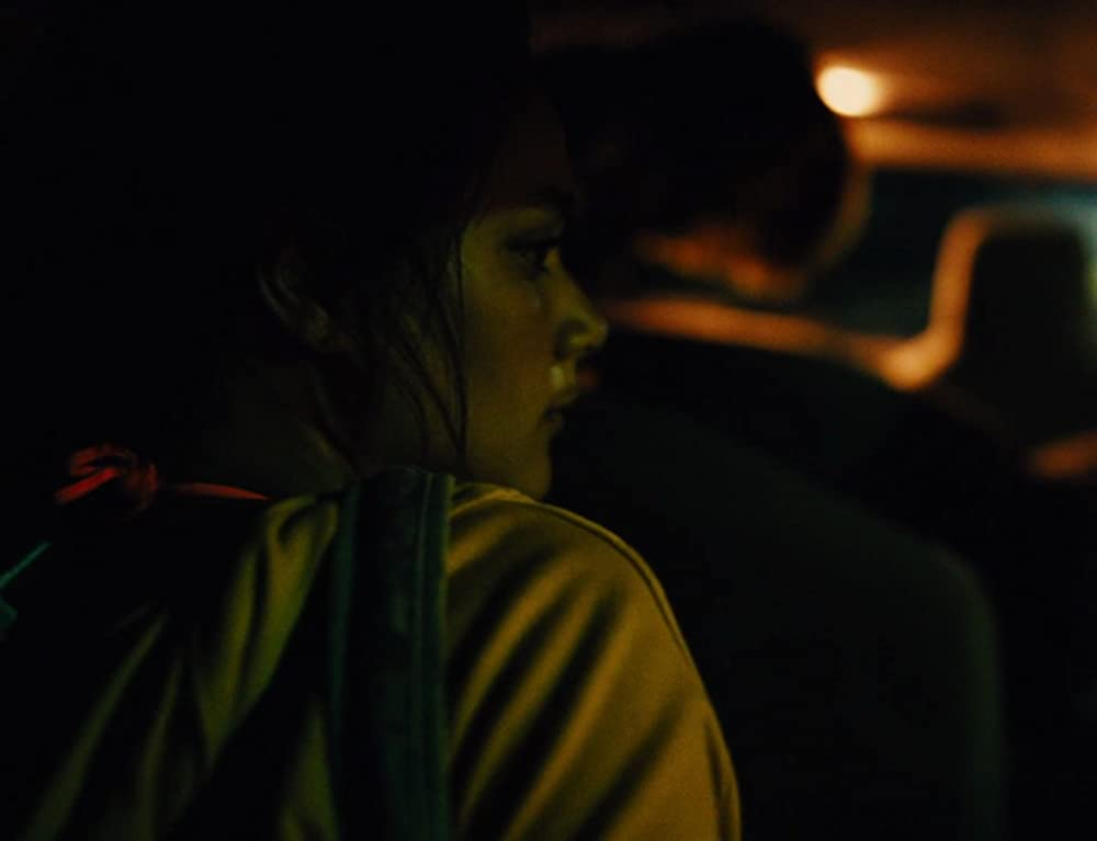 アメリカン･ハニーの画像