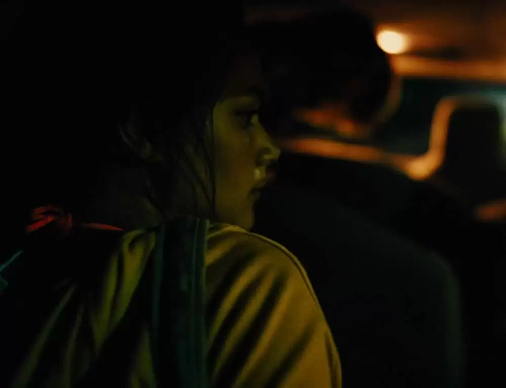 アメリカン･ハニーの画像