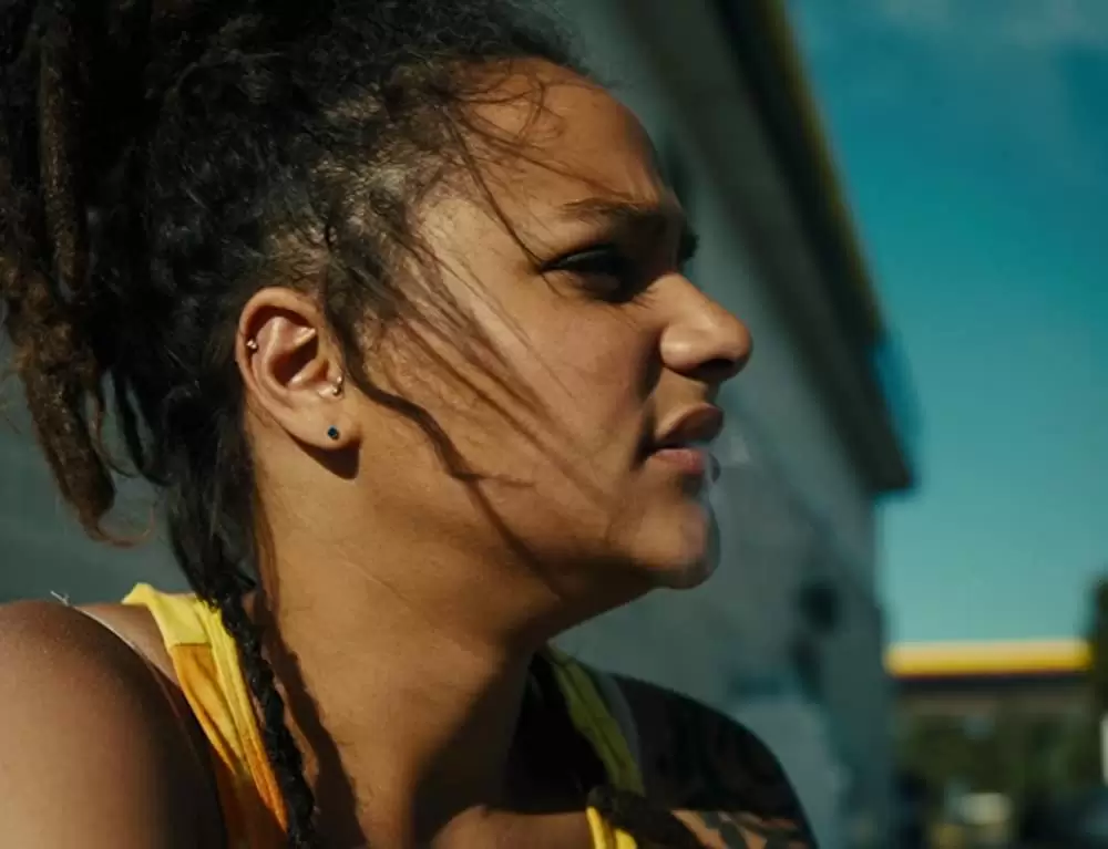 アメリカン･ハニーの画像