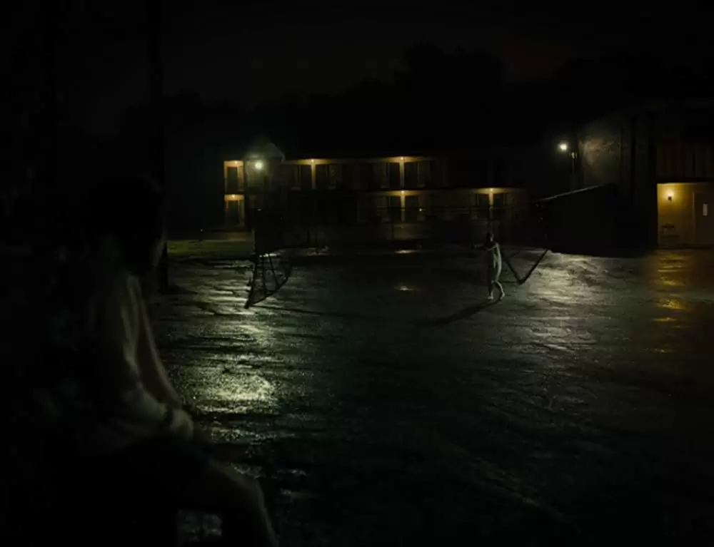 アメリカン･ハニーの画像