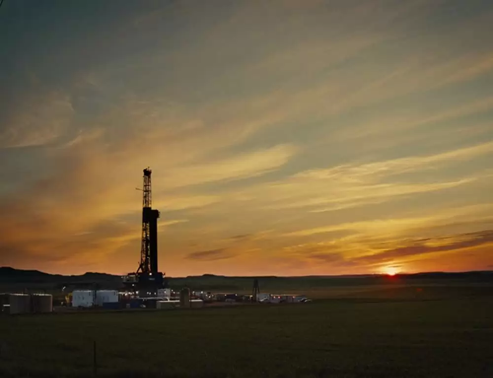 アメリカン･ハニーの画像