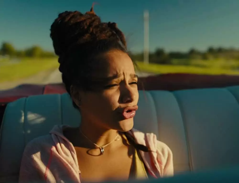 アメリカン･ハニーの画像