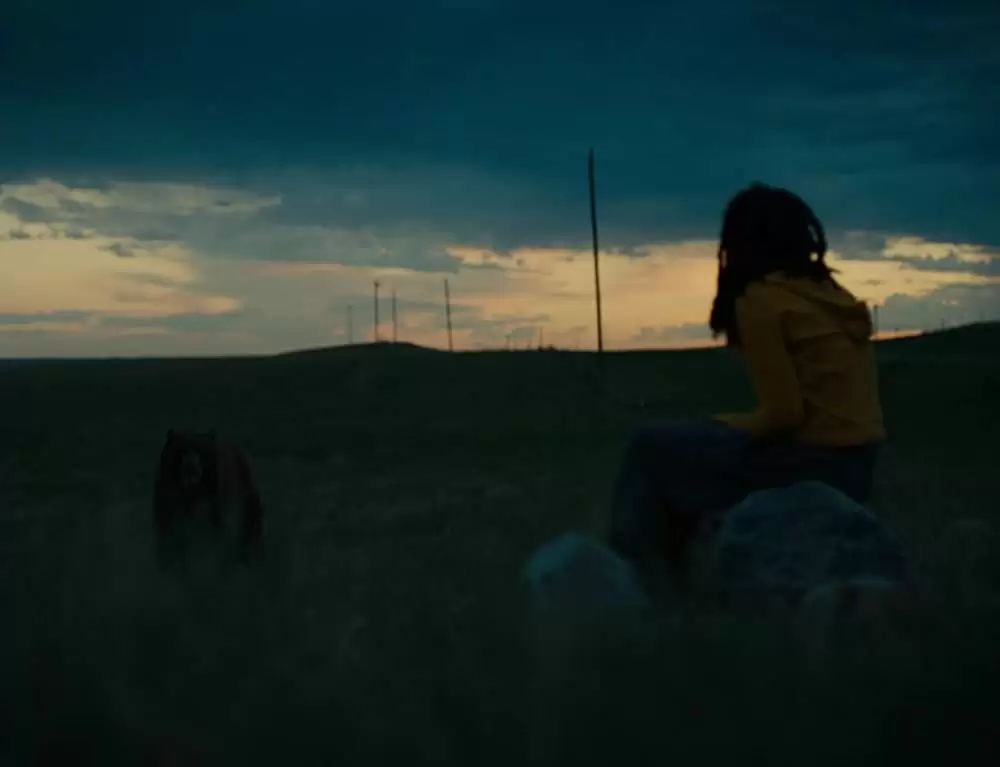 アメリカン･ハニーの画像