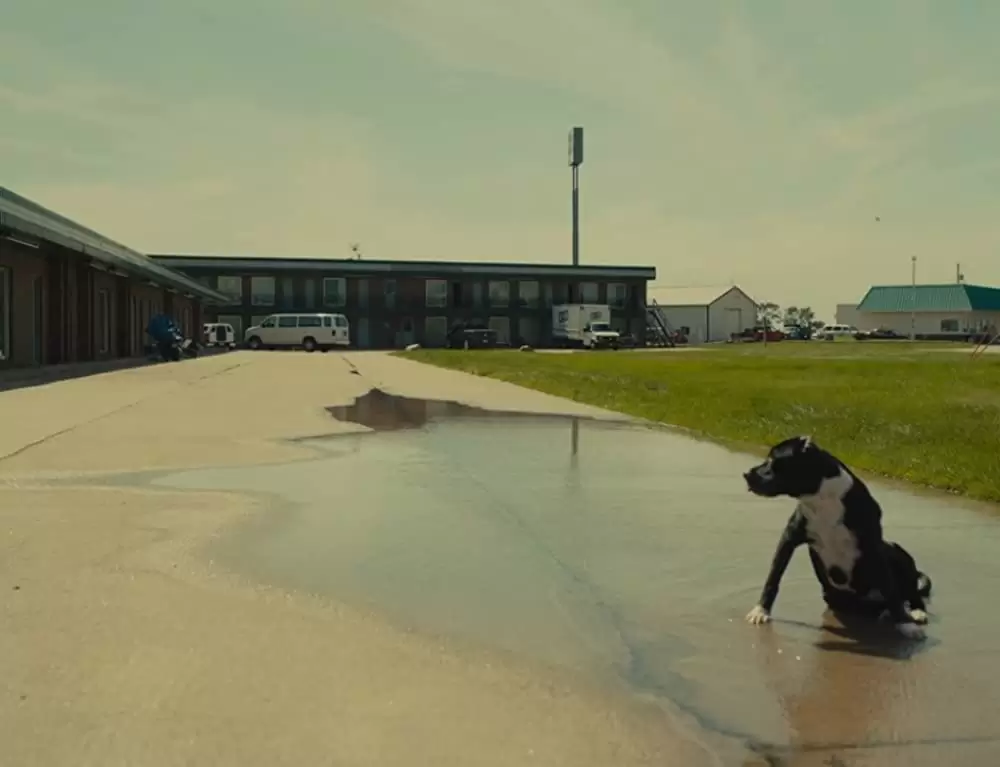 アメリカン･ハニーの画像