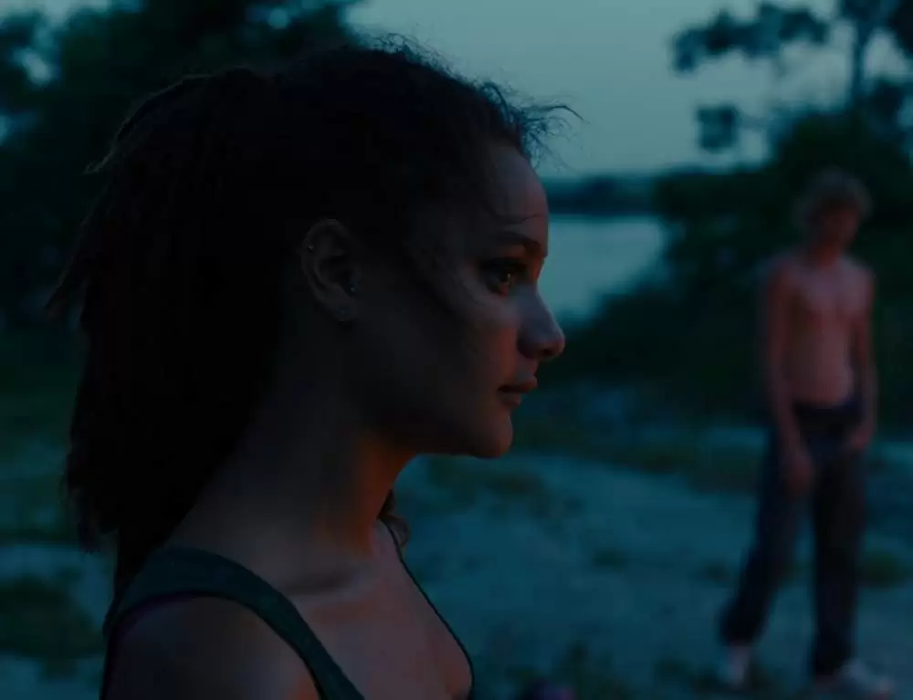 アメリカン･ハニーの画像