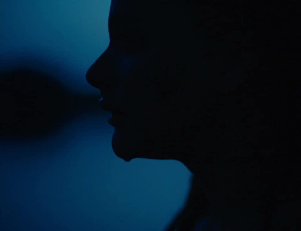 アメリカン･ハニーの画像