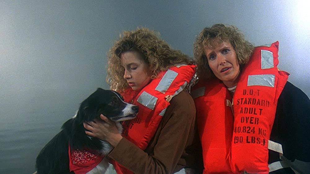 13日の金曜日PART8／ジェイソンN.Y.への画像