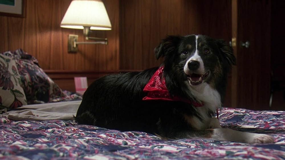 13日の金曜日PART8/ジェイソンN.Y.への画像