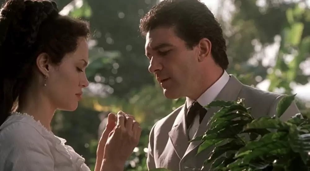 ポワゾンの画像