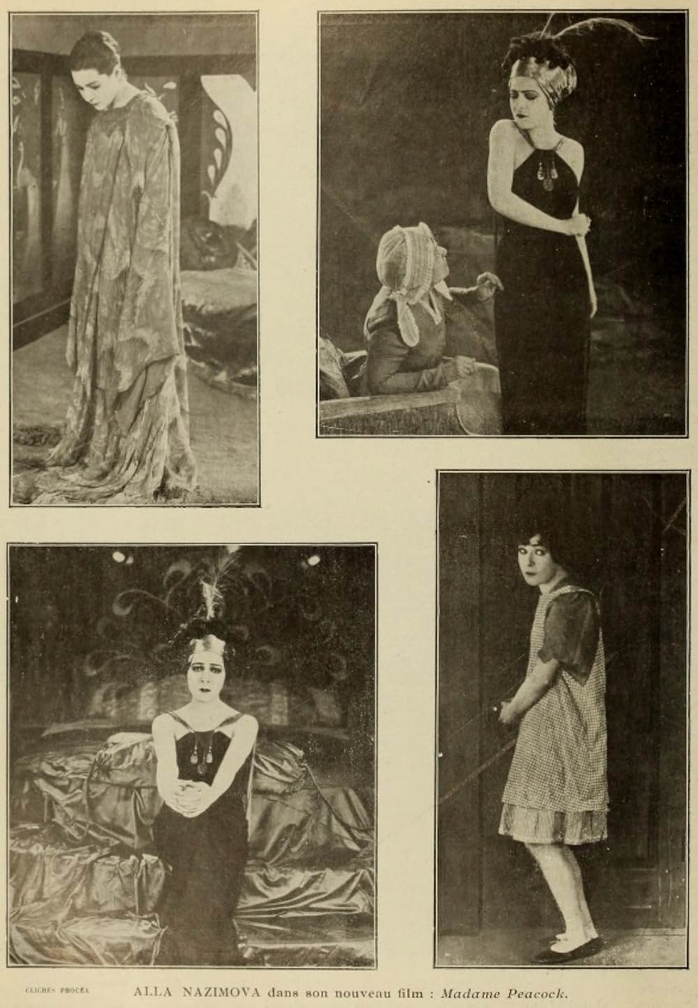 孔雀婦人の画像