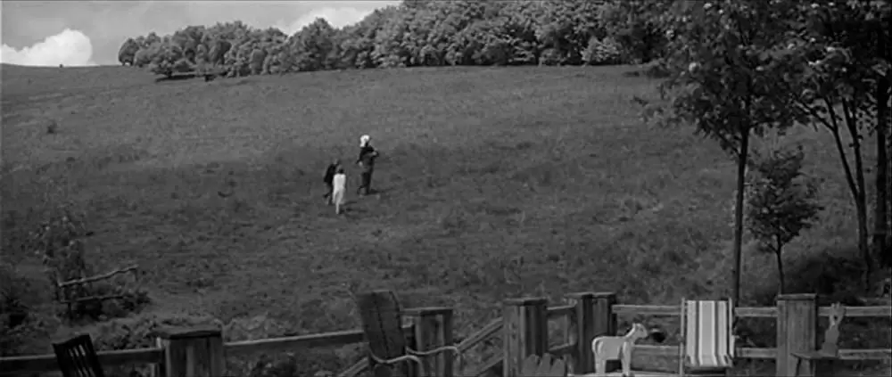 突然炎のごとくの画像