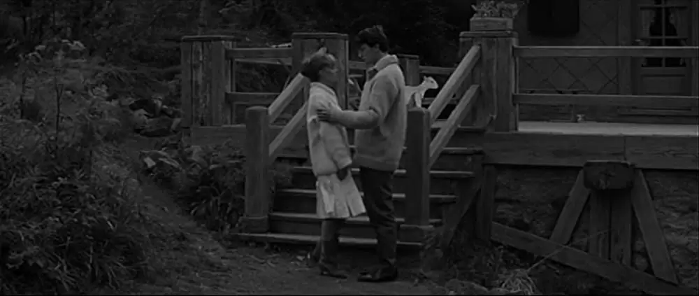 突然炎のごとくの画像