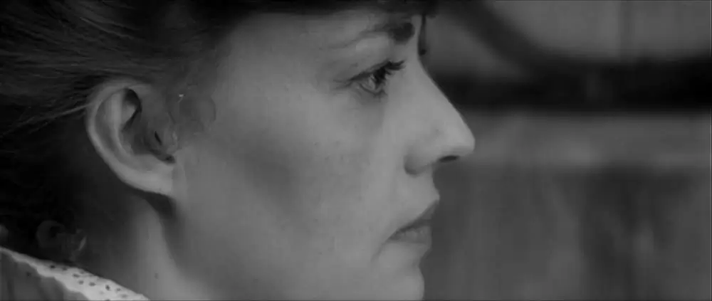 突然炎のごとくの画像