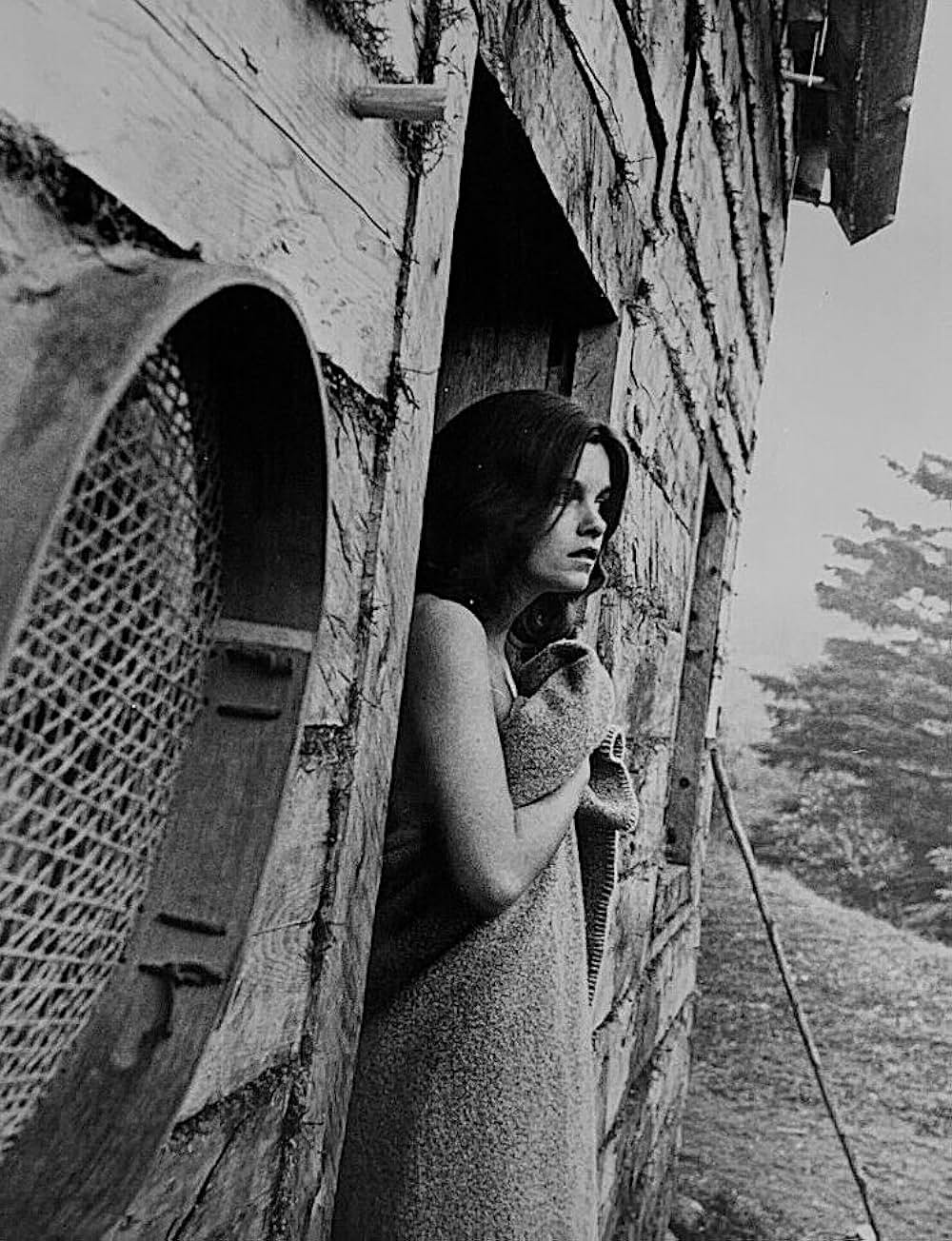 Journey（原題）の画像