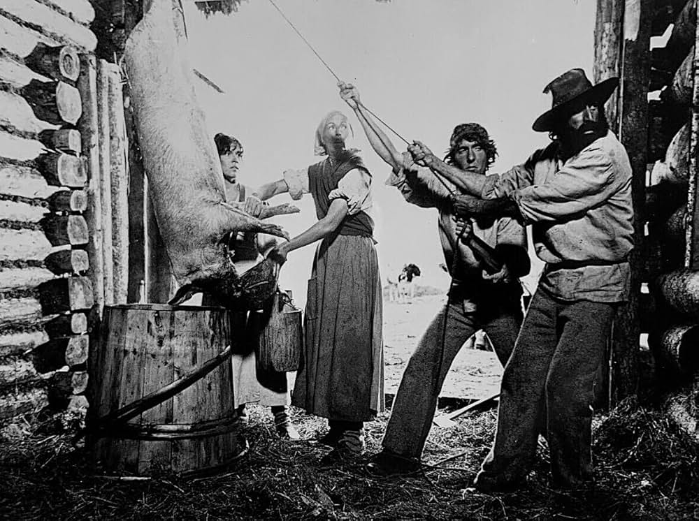 Journey（原題）の画像