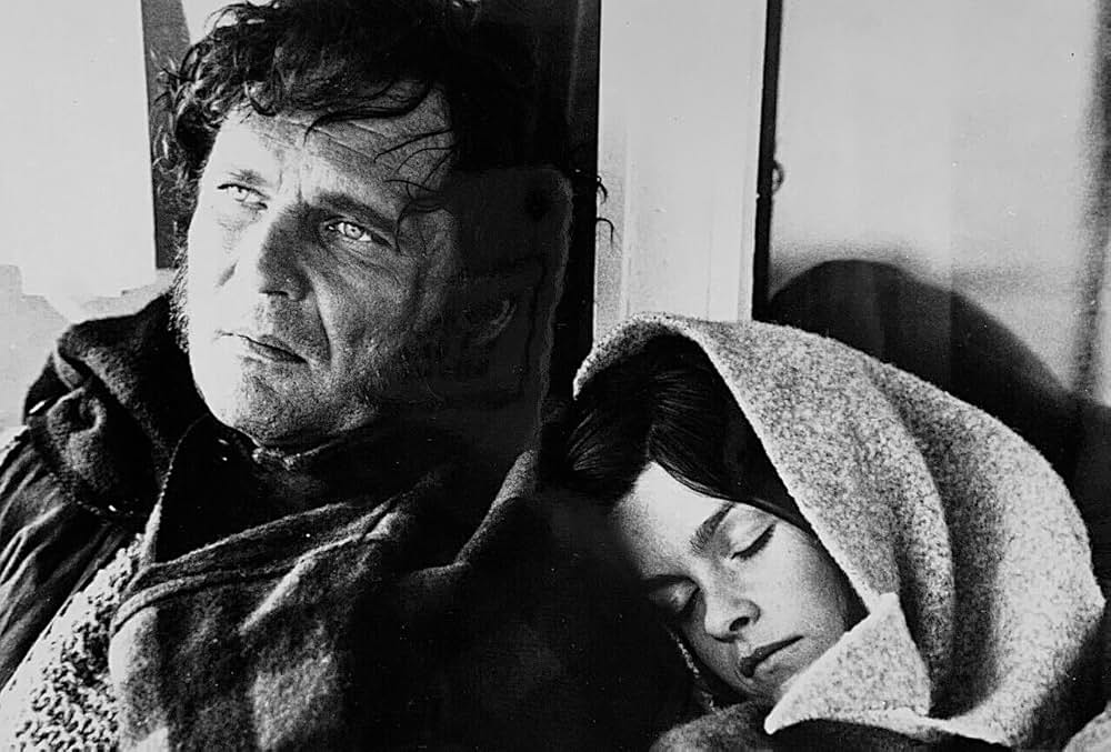 Journey（原題）の画像