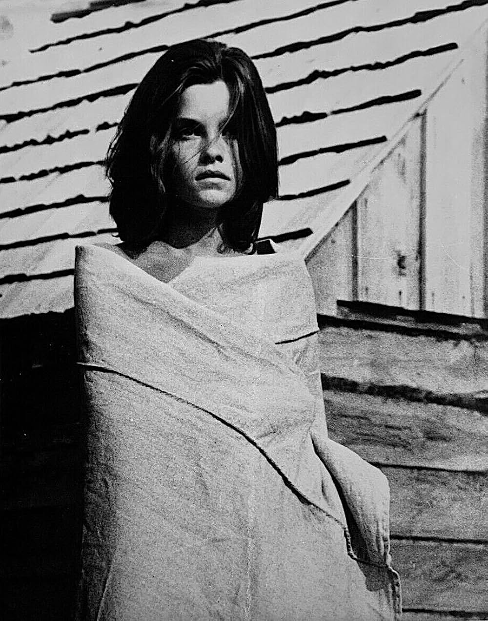 Journey（原題）の画像