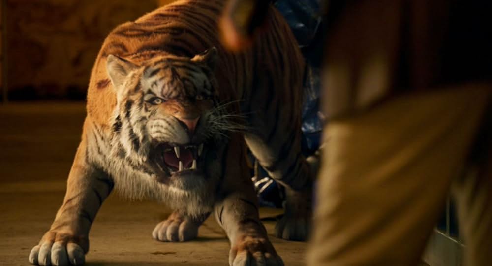 Show Dogs（原題）の画像