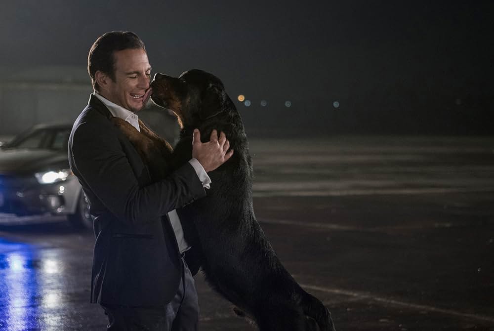 Show Dogs（原題）の画像