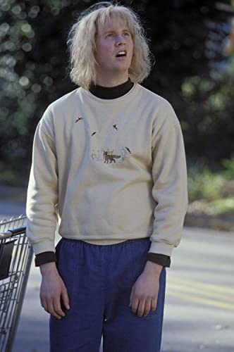 新 Mr.ダマー ハリーとロイド、コンビ結成！の画像