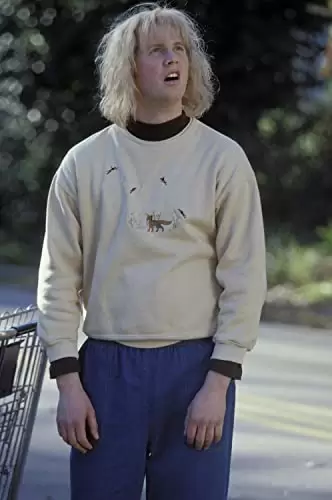 新 Mr.ダマー ハリーとロイド、コンビ結成!の画像